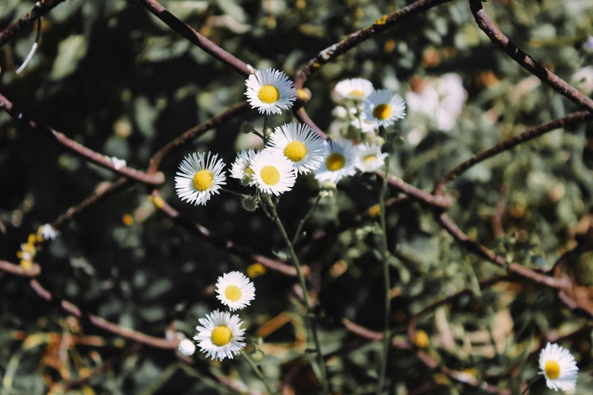 link building for growth